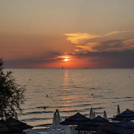 Residenza Delle Acacie E Del Ligustro - Le Di Valentina Gallipoli