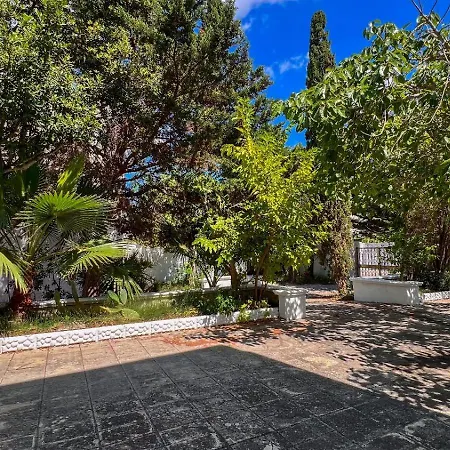 Residenza Delle Acacie E Del Ligustro - Le Di Valentina Apartament *